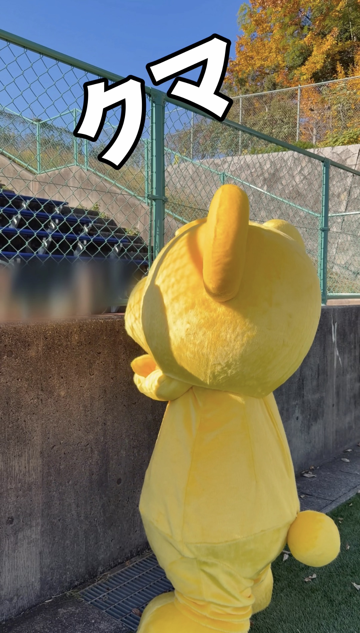 マーくん動画